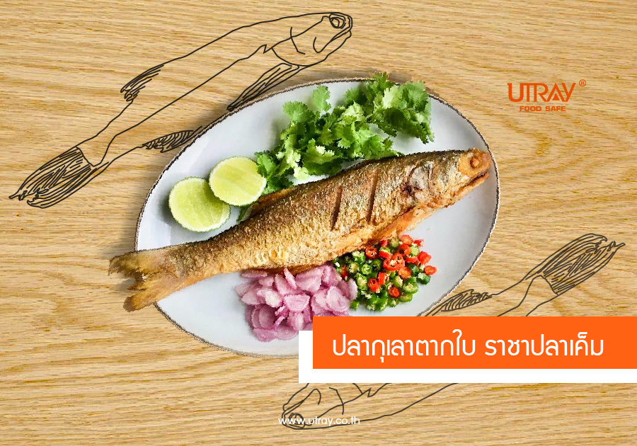 ปลากุเลาตากใบ 