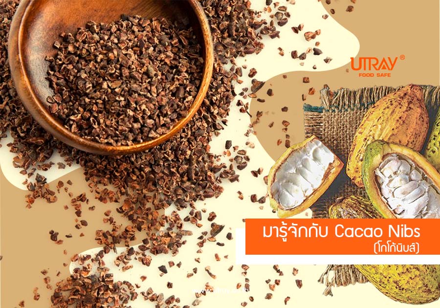 มารู้จัก CACAO NIBS กัน